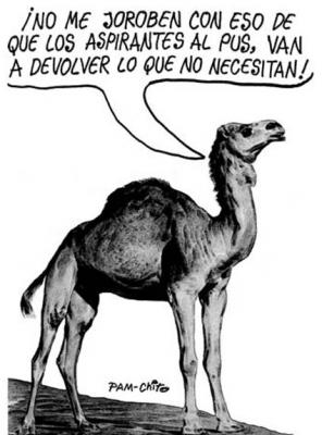 A otro con ese hueso